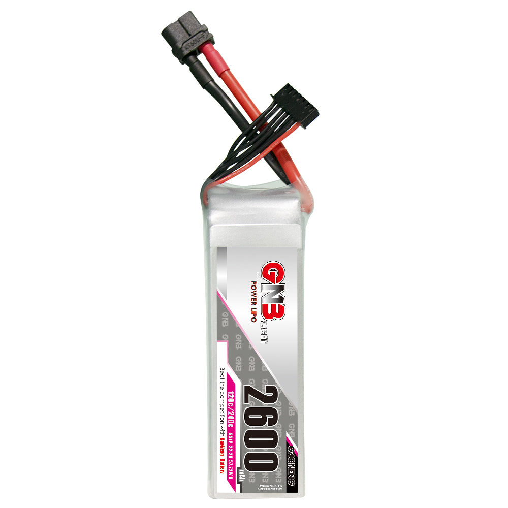 GAONENG GNB 6S 2600mAh 120C XT60 LiPo battery, upright view with balance lead and XT60 plug