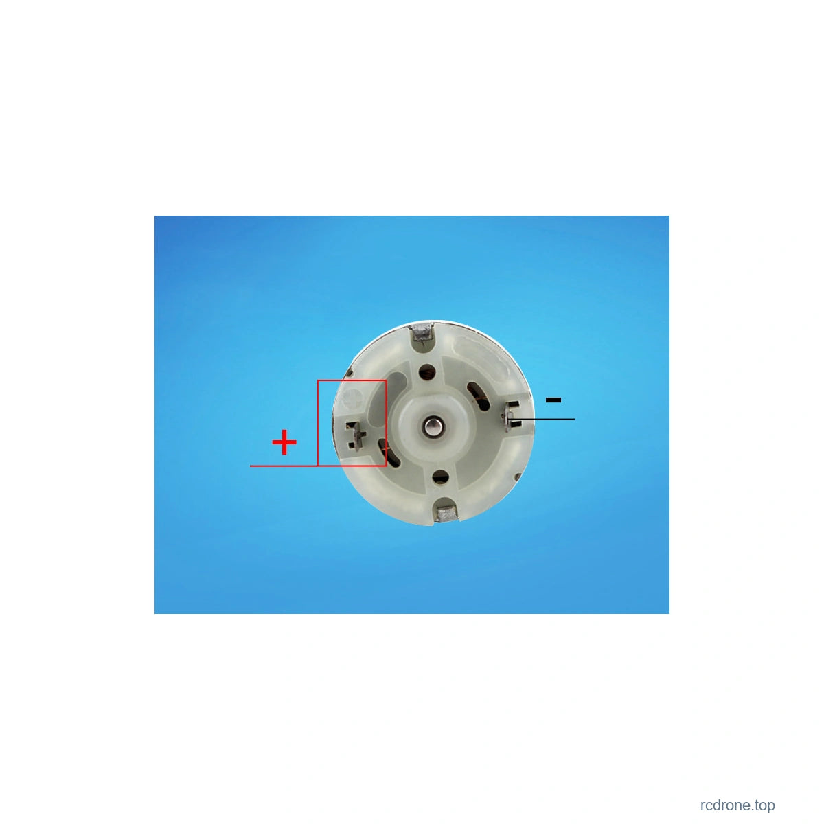 Motor terminal polarity view: red plus and black minus