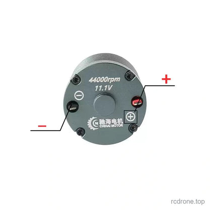 BL370-R rear terminals with polarity markings