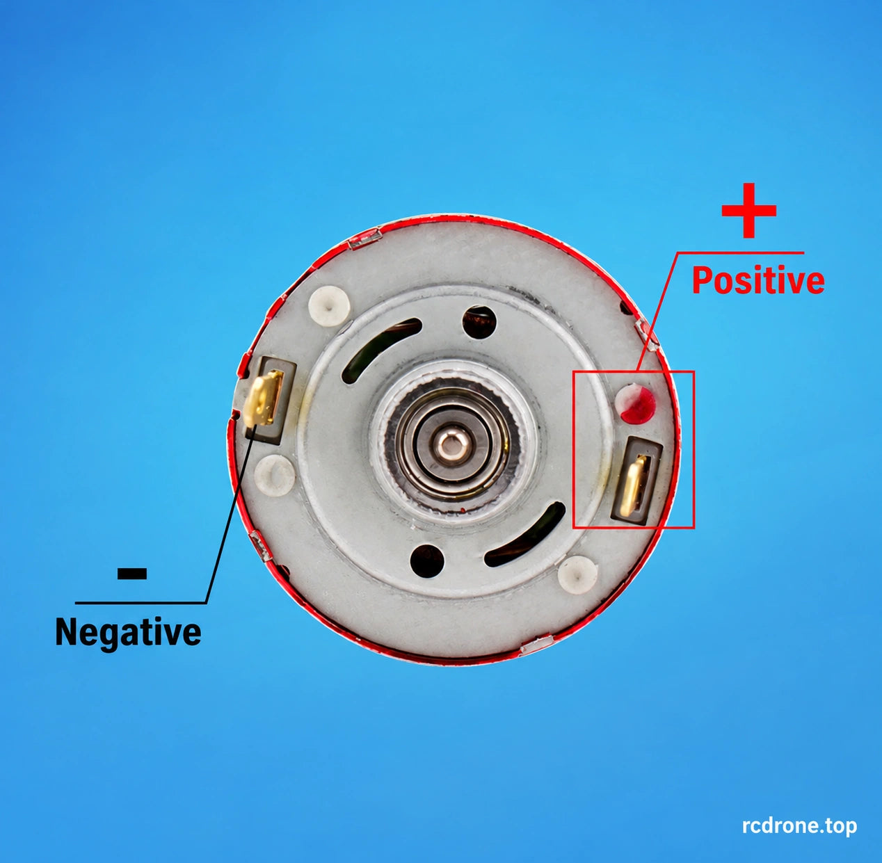 Rear terminal polarity reference with RED+ mark