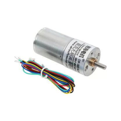 Brushless GM25-BLDC2430 motor and five-wire lead set
