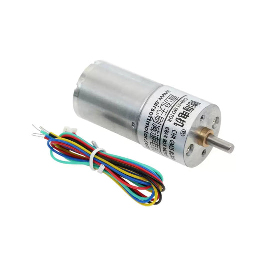 Brushless GM25-BLDC2430 motor and five-wire lead set