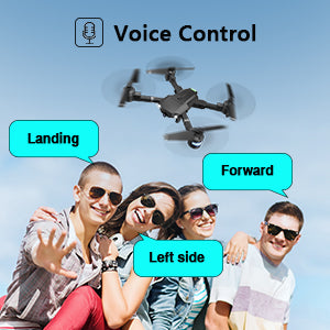 voice control forward left side