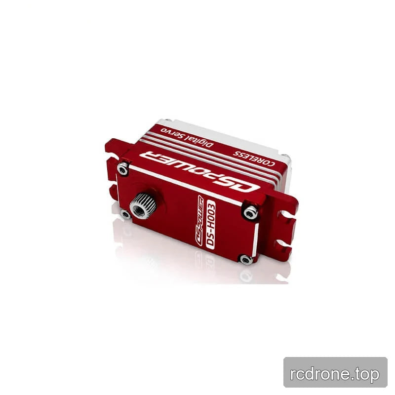 DSpower DS-H003 red servo motor viewed from the output-shaft end, with mounting tabs and silver side housing.
