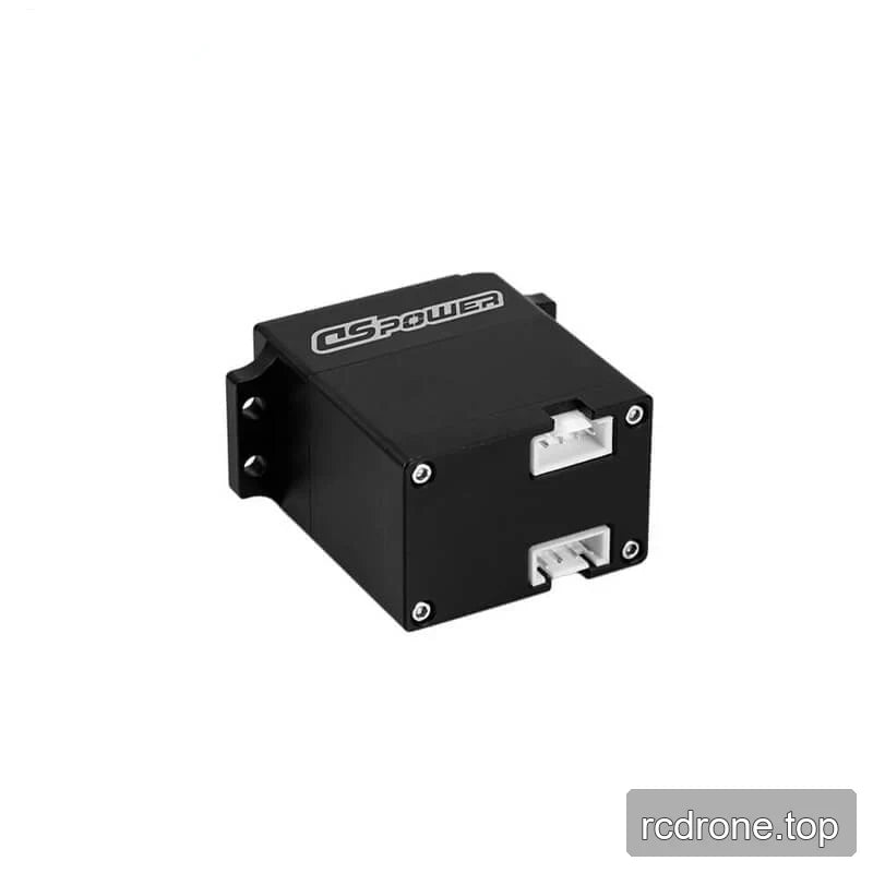 Rear view of the black DSpower DS-R018 servo motor showing two white recessed connectors and mounting tabs.