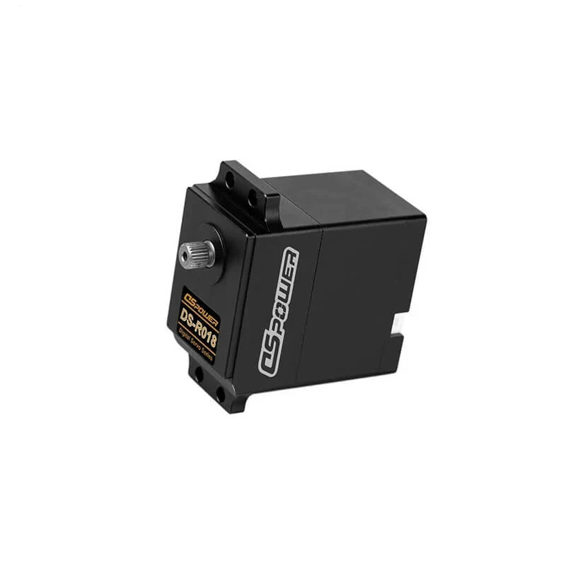 Black DSpower DS-R018 servo motor shown from the output shaft and side, with mounting tabs visible.