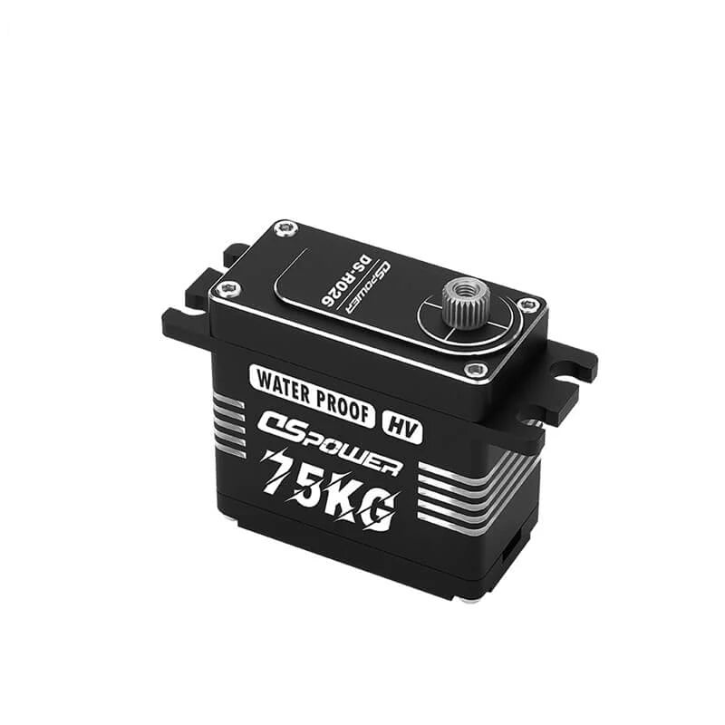 Black DSpower DS-R026 servo motor shown in three-quarter view with splined output shaft and mounting tabs.