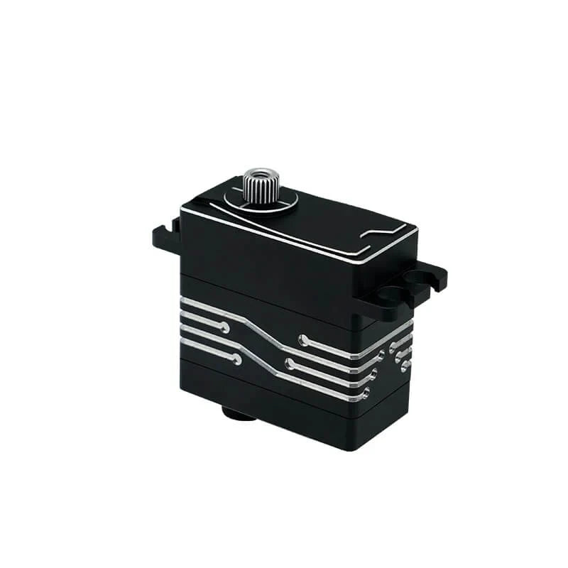Black DSpower DS-W001A servo motor shown upright with splined output shaft, mounting tabs, and silver side-line detailing.