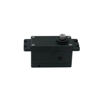 Black DSpower DS-W004A servo motor shown from the front with a splined output shaft and side mounting tabs.