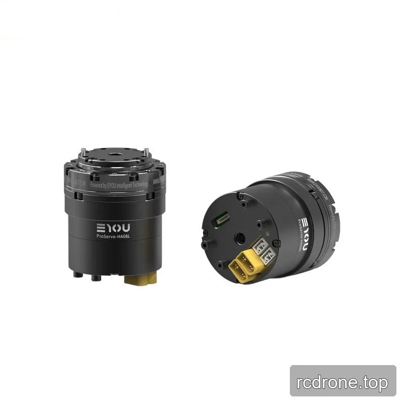 Two views of the black EYOU motor show the upright mounting plate side and rear connector side