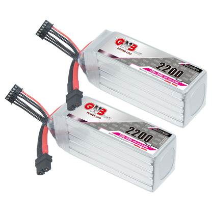 Two GNB 5S 2200mAh LiPo batteries angled side view with XT60 leads