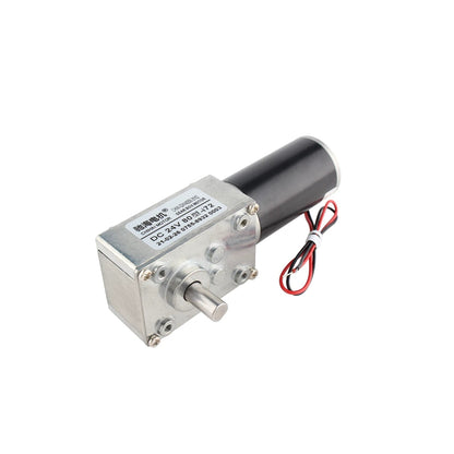 Motor Only:oneGW4058-3162wormDCmotor
