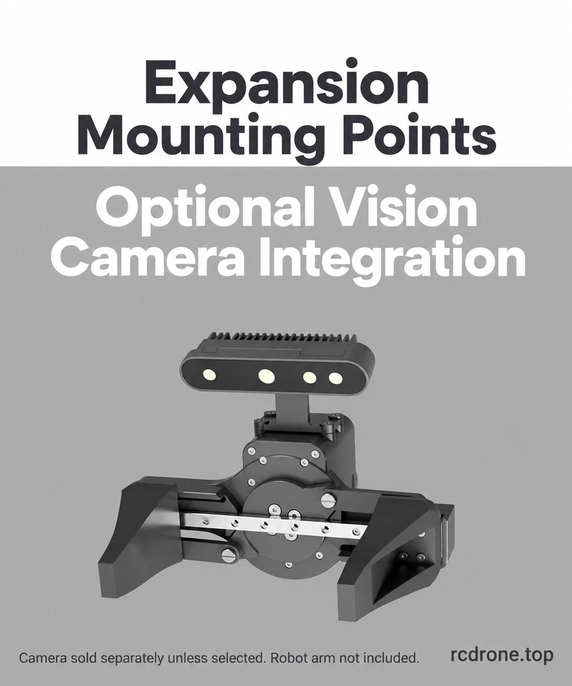 Optional vision camera mounting example; cameras sold as separate configurations