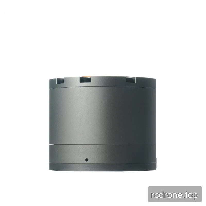 Plain rear-side view of the gray cylindrical HEXMOTOR 4310 housing with a small circular opening near the base.