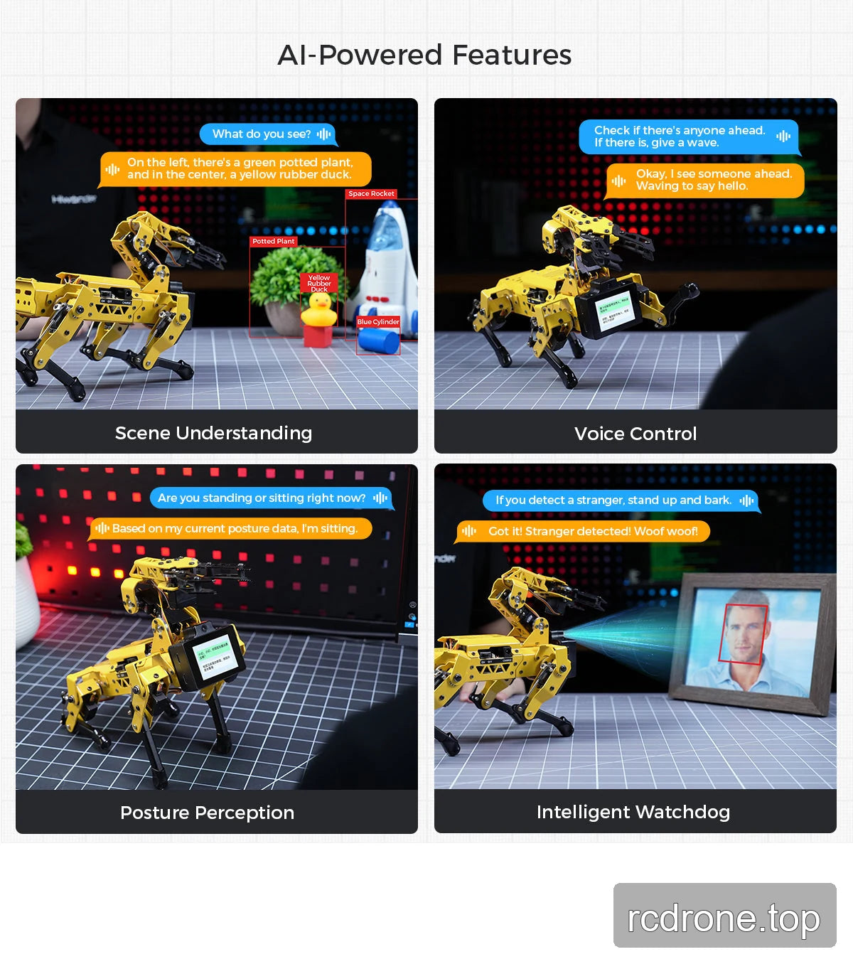 AI-Powered Features