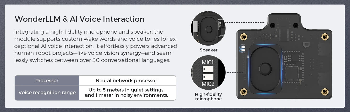 WonderLLM & AI Voice Interaction