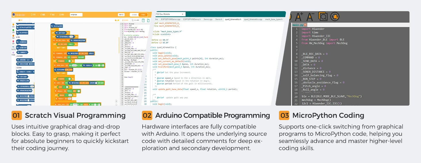 3 Coding Languages: From Scratch to Python