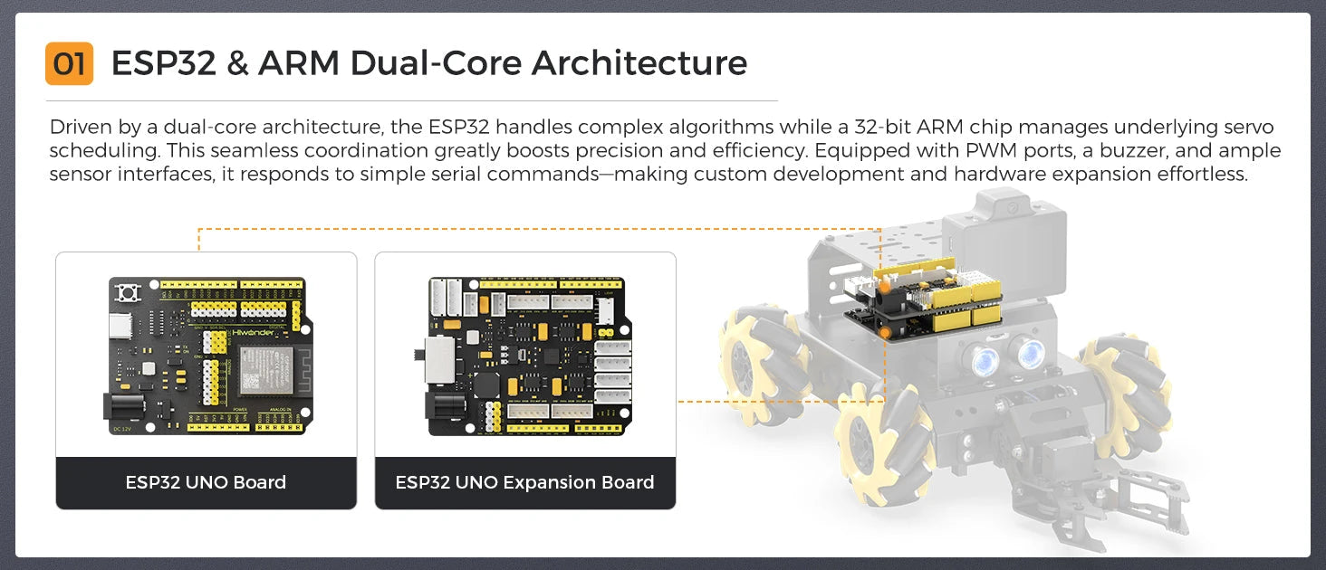 ESP32 & ARM Dual-Core Architecture