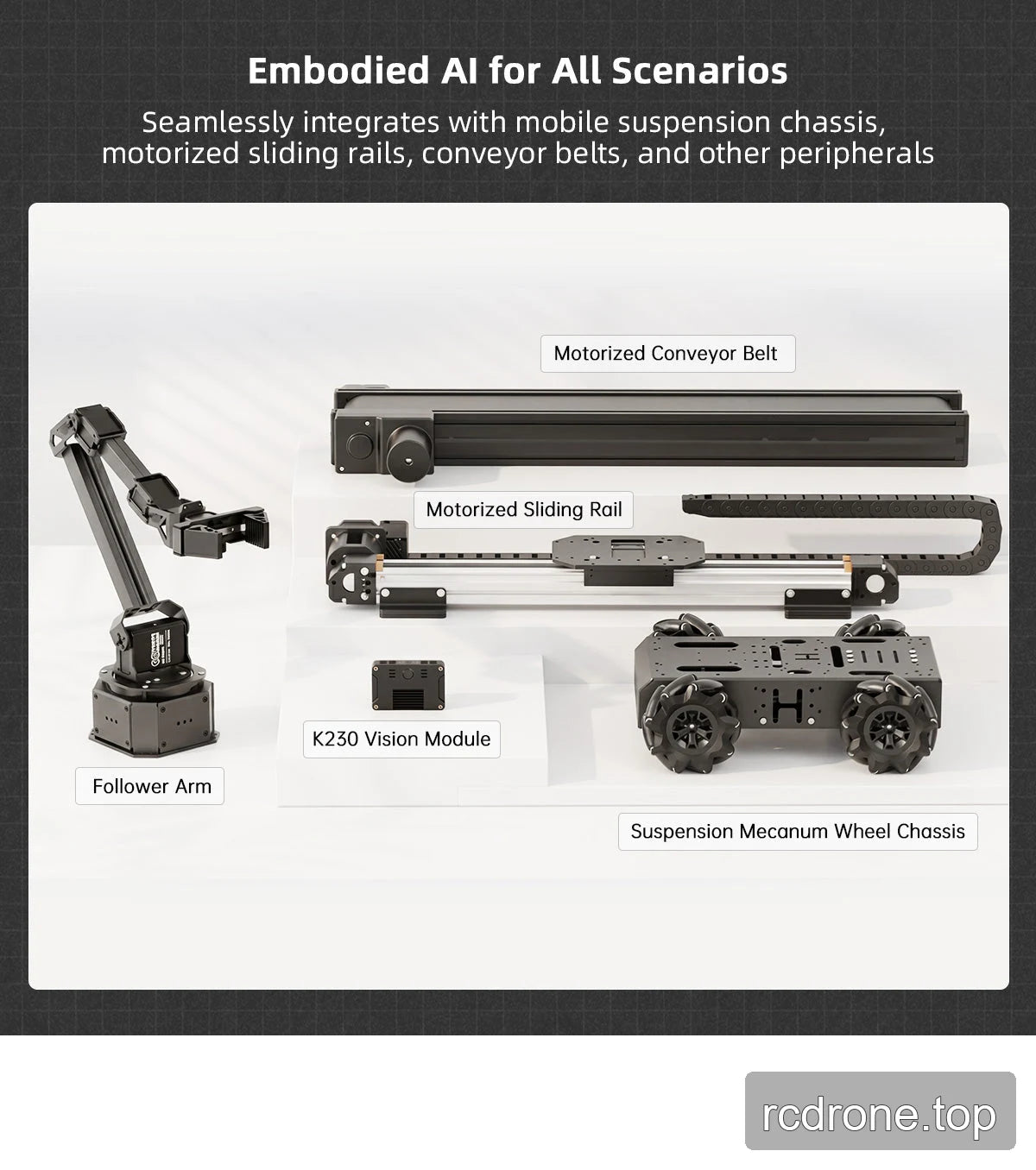 Optional NexArm motorized rail conveyor and suspension mecanum chassis