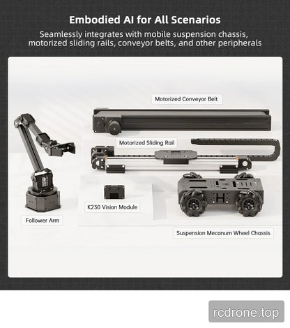 Optional NexArm motorized rail conveyor and suspension mecanum chassis