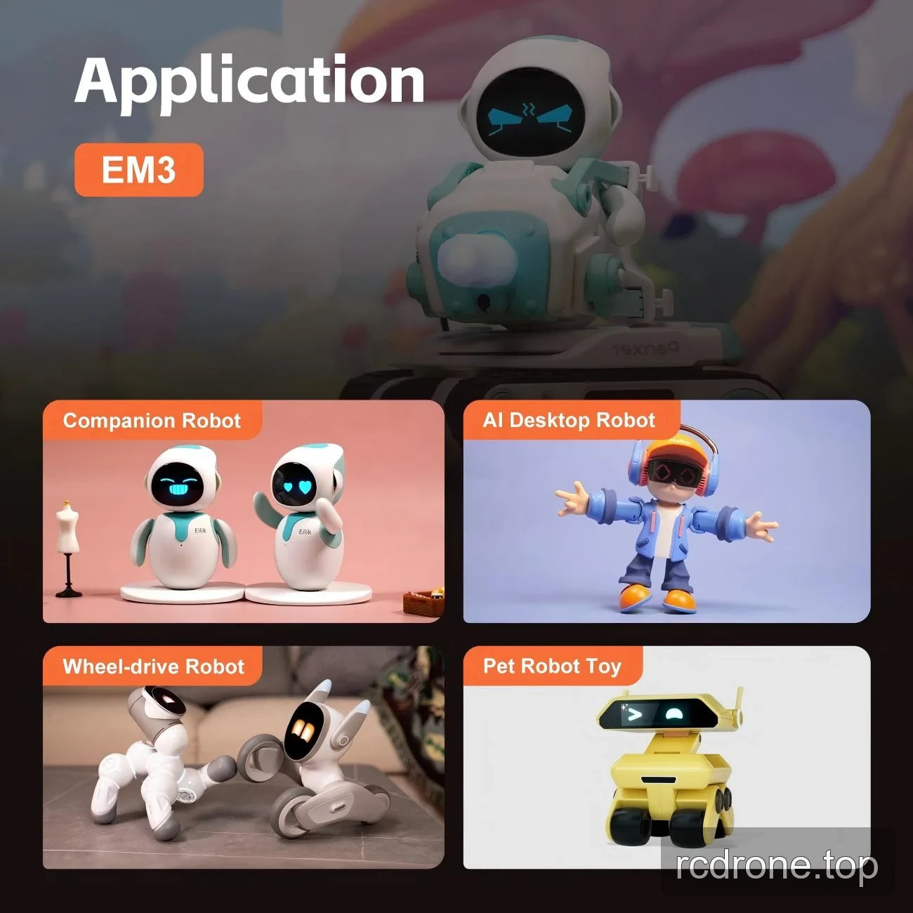 Robot application examples including companion, desktop, wheel-drive and pet robots