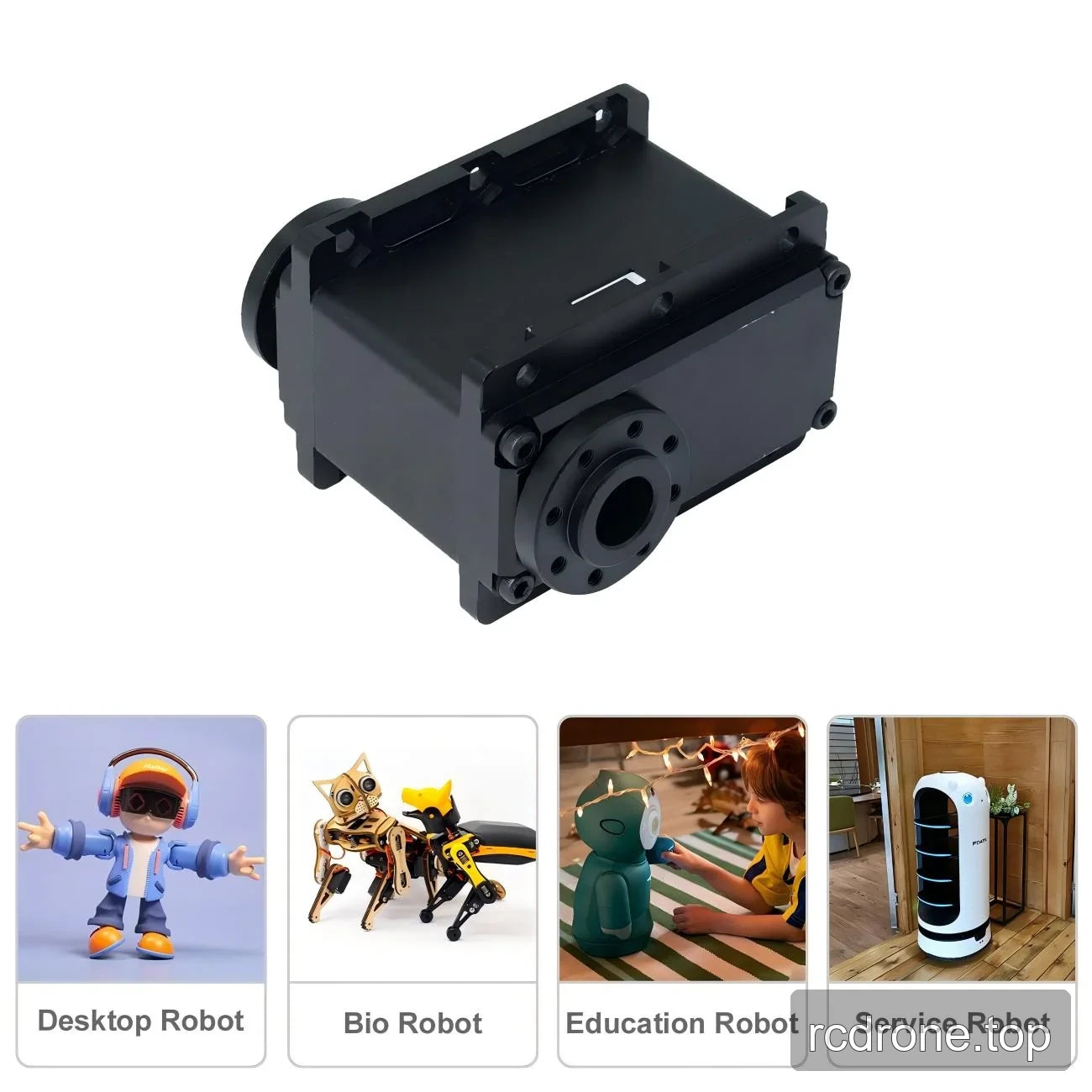 Black servo beside desktop, bio, education and service robot examples