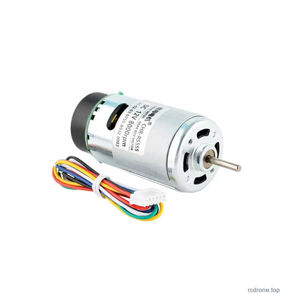 RS555 Hall encoder motor front and output shaft