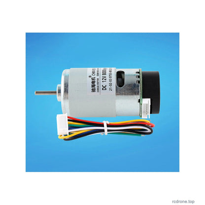 RS555 Hall encoder motor physical view 11