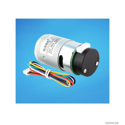 RS555 Hall encoder motor physical view 12