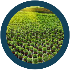 TTA G300 30L Agriculture Drone - 6 Axis 24 Acres Per Hour Heavy Lift Seed Spreader Sprayer Drone 8 TTA G300 30L Agriculture Drone, the start point, the final point and the working direction can all be set