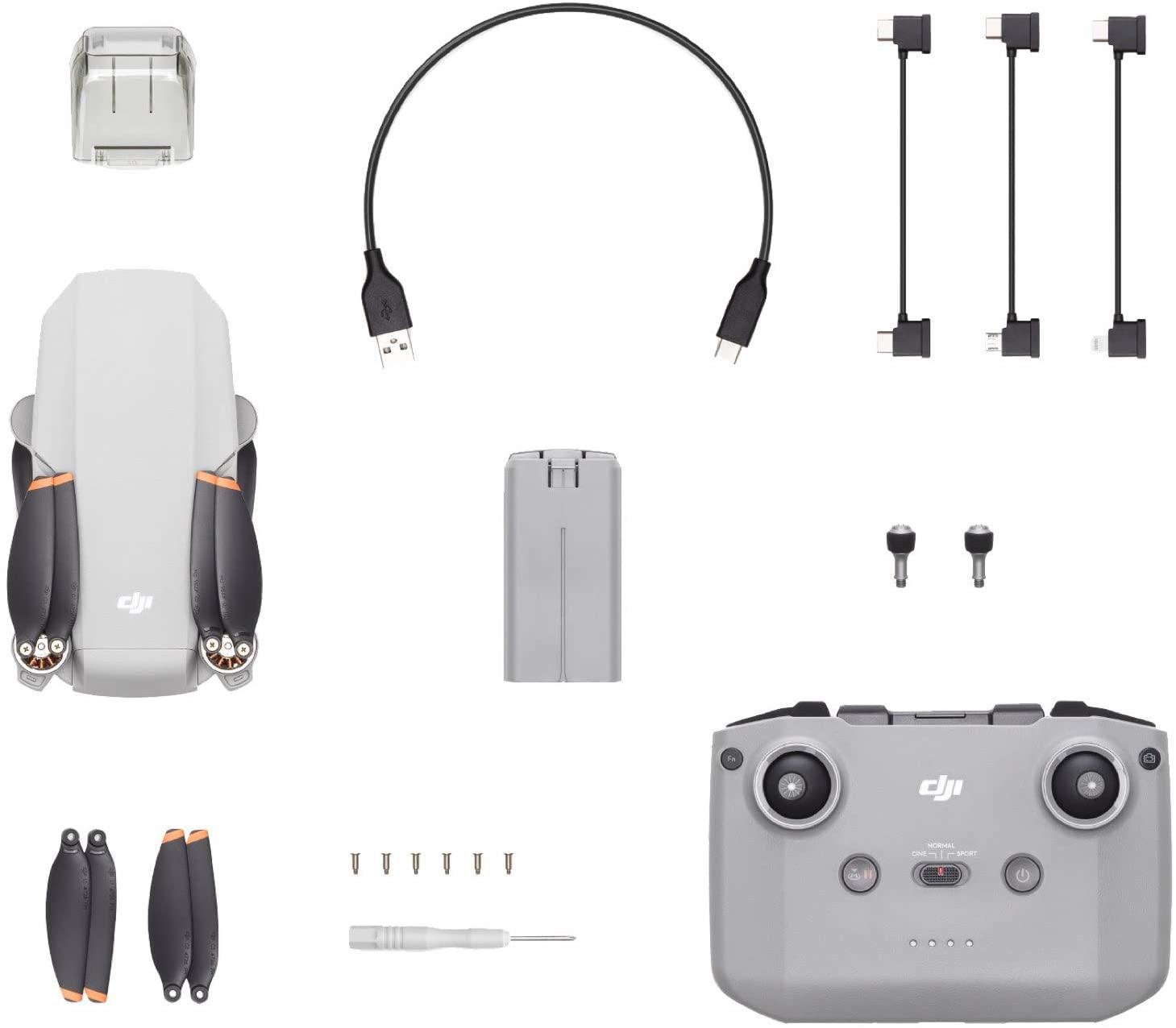 DJI Mini 2 - Ultraléger et Pliable Drone Quadcopter, 3 Axes Gimbal avec  Caméra 4K, Photo 12MP, 31 Minutes de Vol, OcuSync 2.0 HD Transmission  Vidéo
