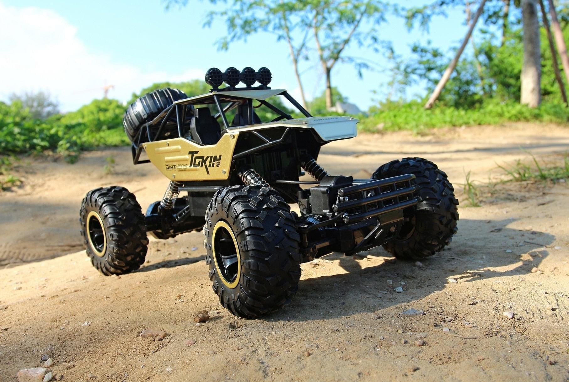 1:12 Professional RC Car High Speed SUV Rock Rover Double Motors